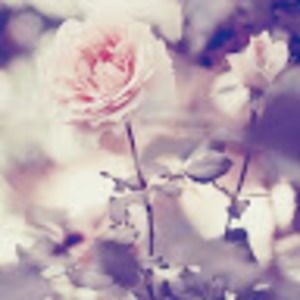 Meet your Posher, Kara